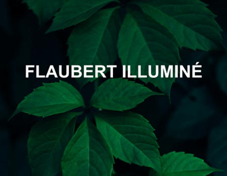 flaubert illu